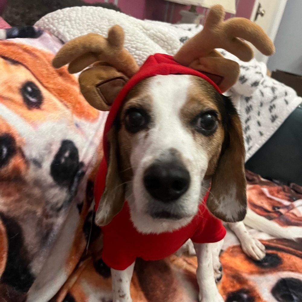 Meet your Posher, Kelly